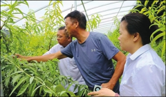 <b>工商银行河南省分行：做实做细“五篇大文章”</b>